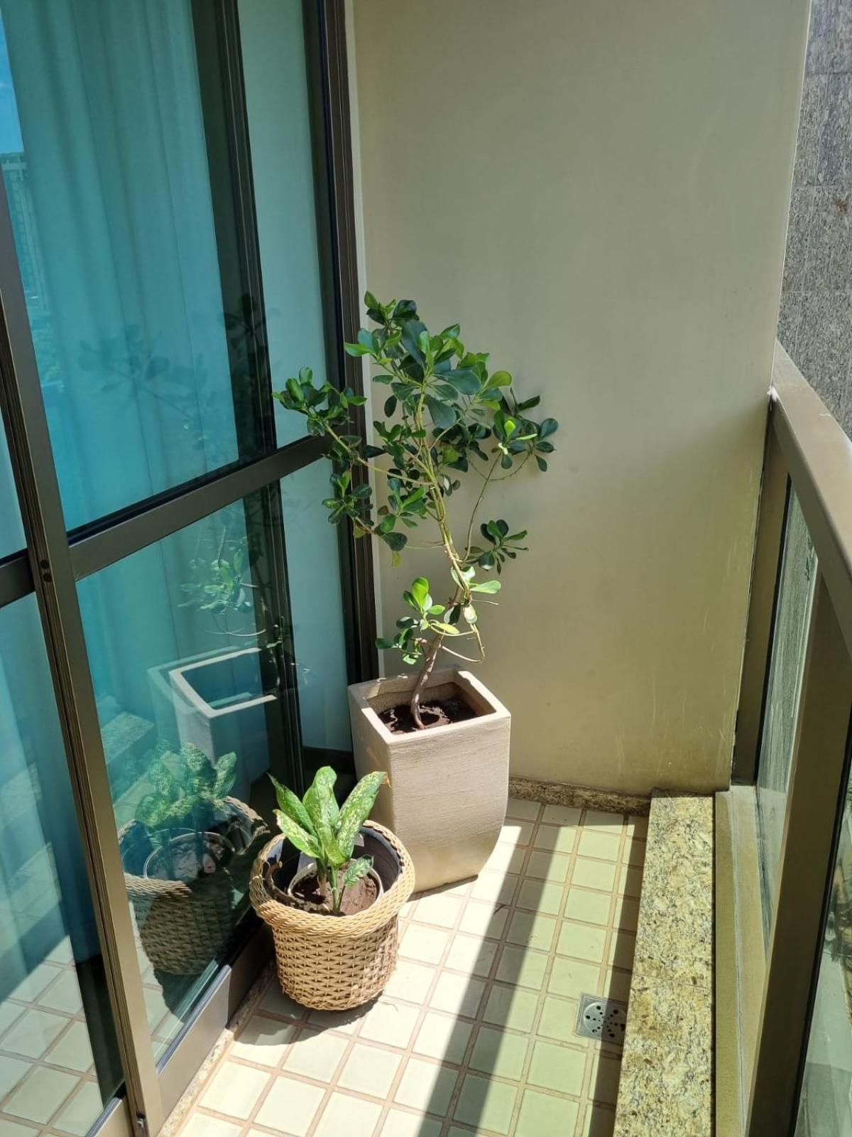 Flat Pancetti Apartment Belo Horizonte Exterior photo